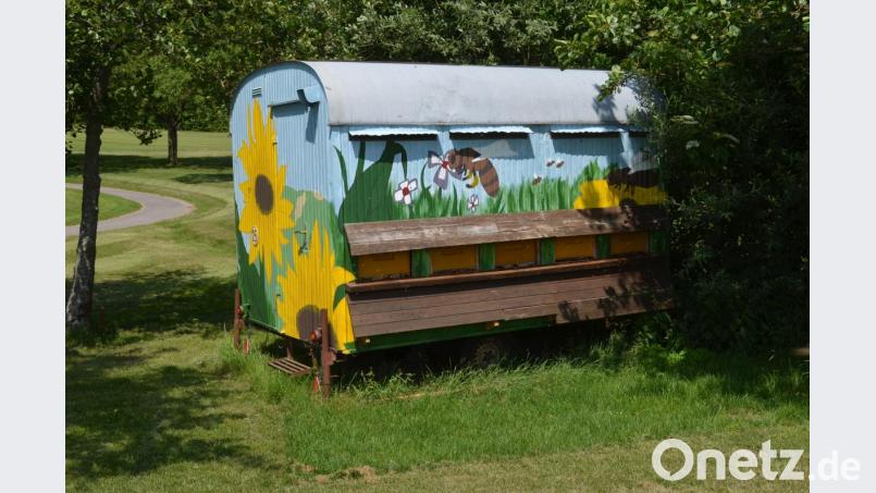 250.000 Bienen finden eine reich gedeckten Tisch Bild: fz