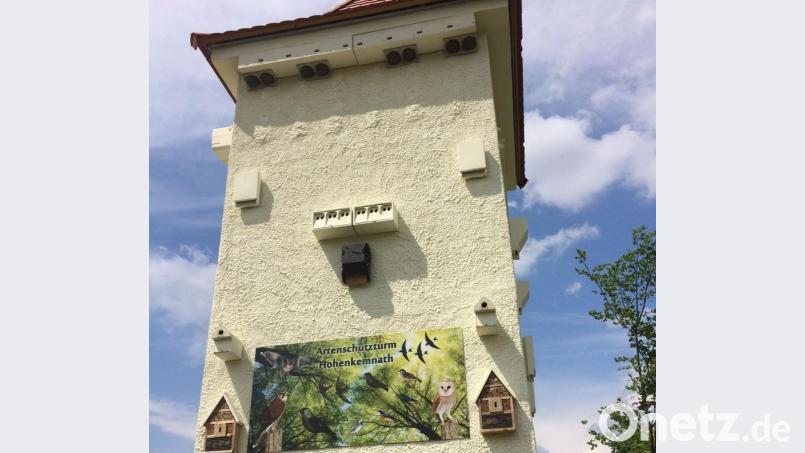 Der im Jahr 2015 erstellte Artenschutzturm in Hohenkemnath ist inzwischen ein Vorzeigeprojekt für den Einsatz der Gemeinde Ursensollen für die biologische Vielfalt geworden. Bild: schß