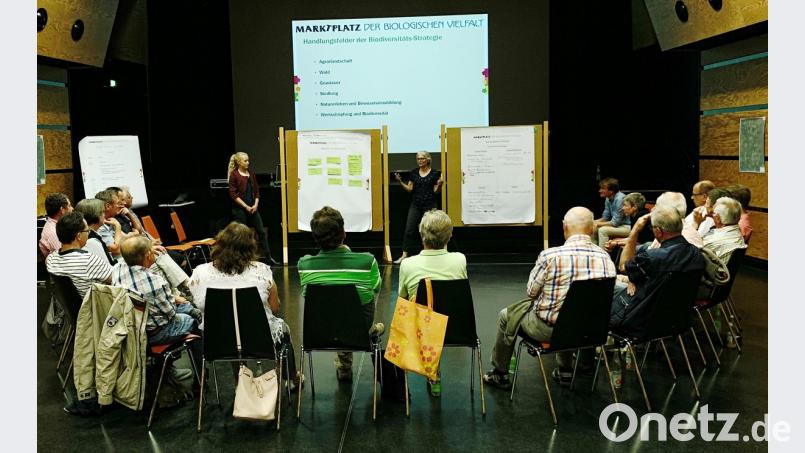 Anne Wendl (Bildmitte) und Paula Guggenberger (vorne links) von der Firma „landimpuls“, Gesellschaft für regionale Entwicklung aus Regenstauf, legten mit den Teilnehmern Arbeitsschwerpunkte des „Marktplatzes der biologischen Vielfalt“ fest. Bild: schß