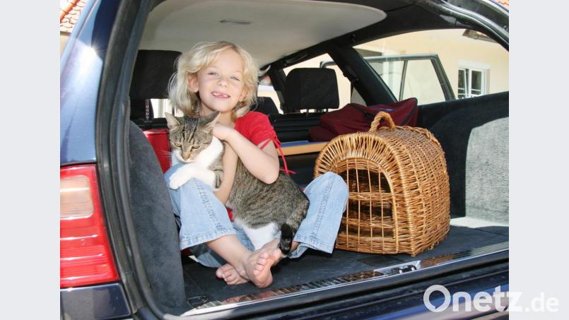 Haustiere können oft nicht mitreisen, wenn ihre Familie in Urlaub fährt. Bild: IVH