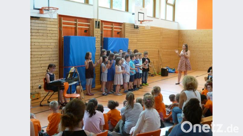 Am Aktionstag Musik an der Hohenburger Grundschule beteiligten sich sowohl die Schüler als auch die Kindergartenkinder der Gemeinde. Bild: hah