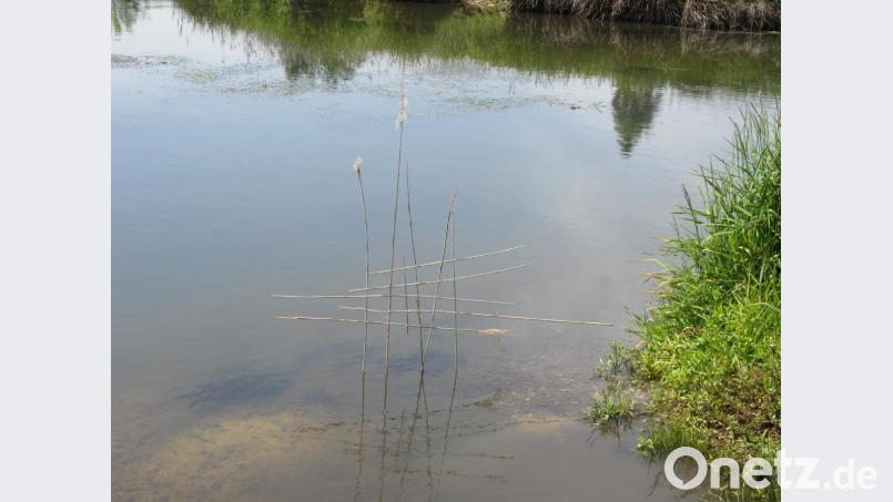 Vergänglich: Dieses im Vorfeld des Künstlersymposiums von Stefan Link geschaffene LandArt-Objekt überdauerte nur einen Nachmittag. Bild: aks