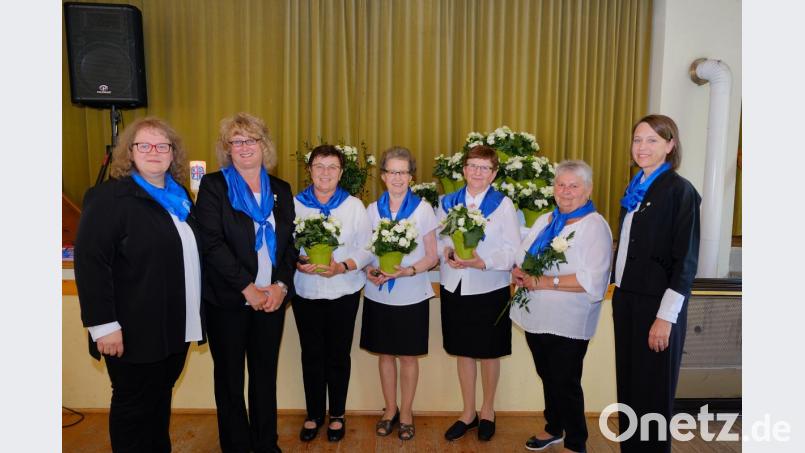 Neun Gründungsmitglieder wurden für ihre 40-jährige Zugehörigkeit zum Katholischen Frauenbund Hausen geehrt. Bild: Gerhard Schötz