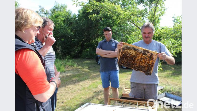 Über die Sommerpflege referierte Herbert Vogl im Bienengarten des Imkervereins. Bild: pko