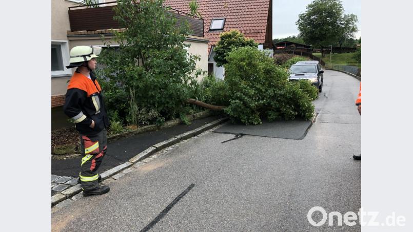 Mehrere Bäume sind bei dem Unwetter umgefallen - zum Beispiel in Freudenberg im Bereich Kleegasse/Hammermühlstraße, wo die Feuerwehr Freudenberg-Wutschdorf wieder für freie Durchfahrt sorgte. Bild: Feuerwehr Freudenberg-Wutschdorf