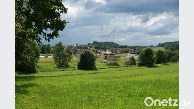 Am östlichen Ortsrand schießen die Neubauten wie Pilze aus dem Boden. Bürgermeisterin Margit Kirzinger befürwortet bei der Ortsteilversammlung In Reinhardsrieth die Aufnahme einer Erschließung des dritten Bauabschnitts im Anschluss der bebauten Parzellen. Bild: fjo