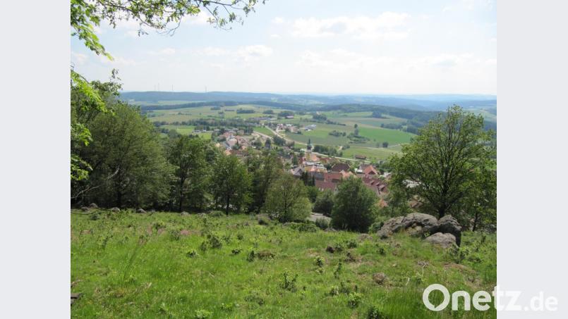Blick vom Schlossberg auf Tännesberg. Der Hang wurde entbuscht freie Sicht entstand, ein Biotop entwiockelt sich. Bild: fg