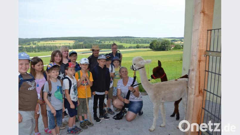 Alpakas sind ruhige Tiere, aber auch schreckhaft. Den Kindern gefielen die Vierbeiner und jedes Kind durfte Frieda oder Ida mal führen. Bild: gi