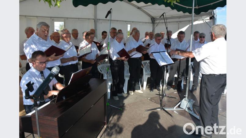 Der 25-köpfige Männergesangverein 1886 Tirschenreuth bereicherte am Freitagabend den diesjährigen „cooltour&quot;-Sommer mit einer Serenade. Die Chorleitung bei dem knapp einstündigen Konzert hatte Horst Schultes, an der Orgel sah Kirchenmusiker Wilhelm Heidtmann. Das Repertoire des Konzerts reichte von Volksliedern bis zu Ausflügen in die Oper und Weinliedern. Bild: jr