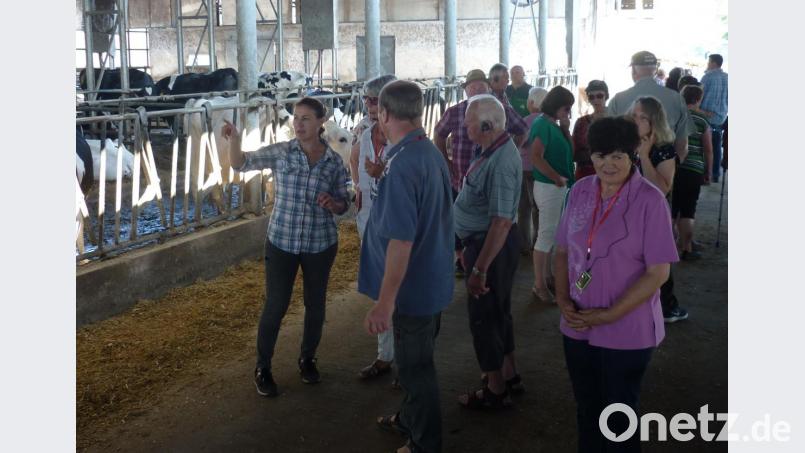 Auf dem Milchviehbetrieb La Briata stehen 200 Milchkühe. Die Jahresleistung der „Holsteiner“ liegt bei etwa 10 000 Liter Milch. Der Verband Landwirtschaftliche Fachbildung ließ sich hier über die Situation der Milchbauern in Italien informieren. Bild: haa