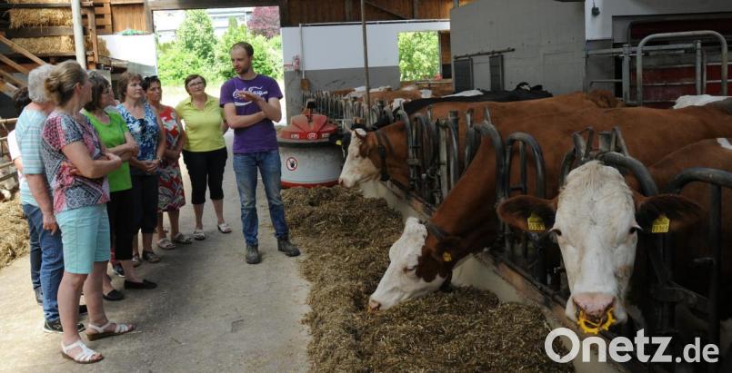 Milchviehhalter Andreas Wendl (Mitte) führt die Frauen Union Gebenbach durch seinen Stall, in dem sich die Tiere frei bewegen können. Bild: gf