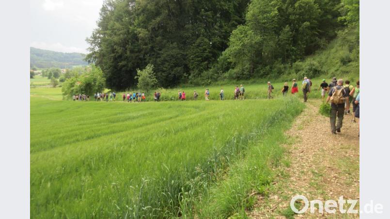 NT-Leserwanderung 2019 rund um Königstein. Bild: ui