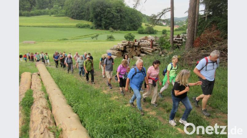NT-Leserwanderung 2019 rund um Königstein. Bild: ui