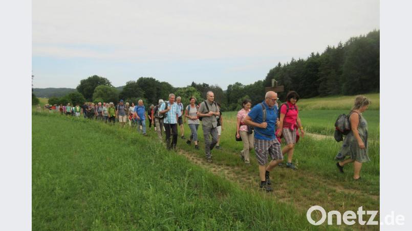 NT-Leserwanderung 2019 rund um Königstein. Bild: ui