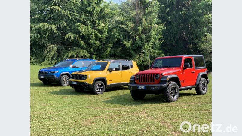 Von rechts: Jeep Warngler Rubicon, Jeep Renegade, Jeep Cherokee. Bild: Michael Ascherl