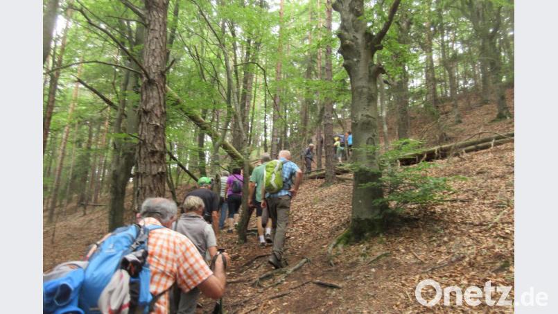NT-Leserwanderung 2019 rund um Königstein. Bild: ui