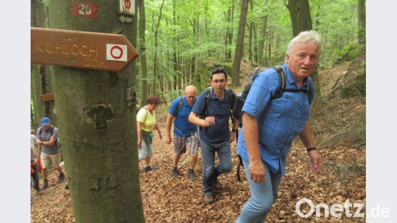 NT-Leserwanderung 2019 rund um Königstein. Bild: ui