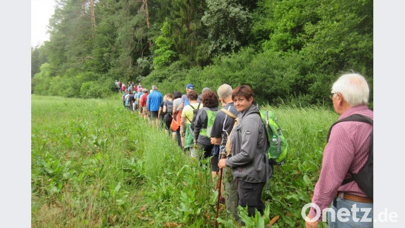 NT-Leserwanderung 2019 rund um Königstein. Bild: ui