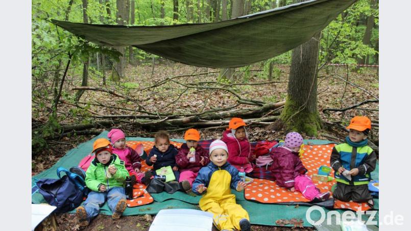 Für die St.-Wolfgang-Krippenkinder war das tägliche Picknick ein absoluter Höhepunkt der Waldwoche. Alles schmeckte einfach super. Bild: u