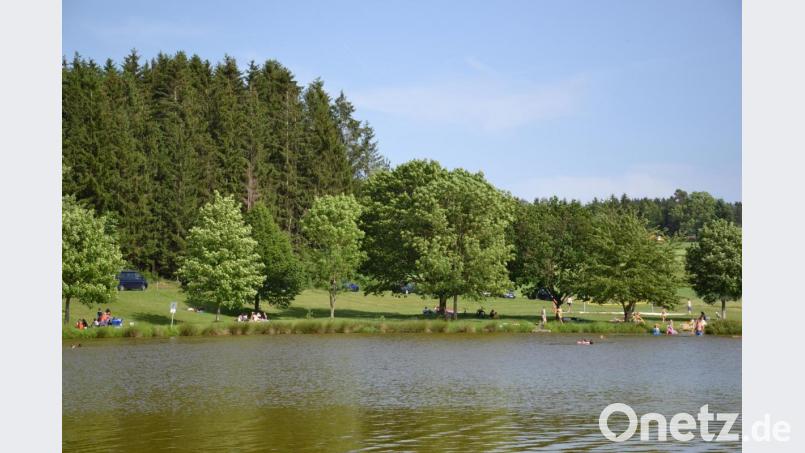 Alle „Wasserratten“ können das gemeindliche Natur-Waldbad Tröbes zum Null-Tarif benutzen. Bild: gi
