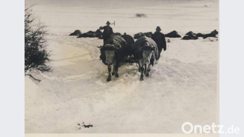 Eine historische Aufnahme aus Lutzmannstein: Mit Odelfässern musste das Trinkwasser für die Tiere auch im Winter beschafft werden. Bild: Egon Gleißner