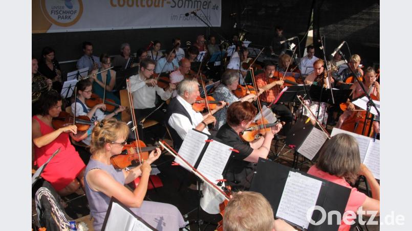 Eine starke Leistung bot das Symphonieorchester der Kreismusikschule bei seinem Konzert auf der Seebühne. Bild: kro