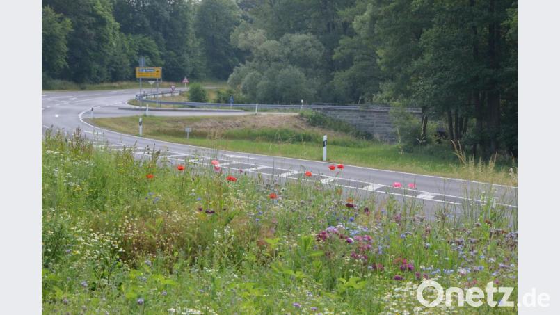 Blühstreifen bei Erbendorf. Bild: Benkhardt