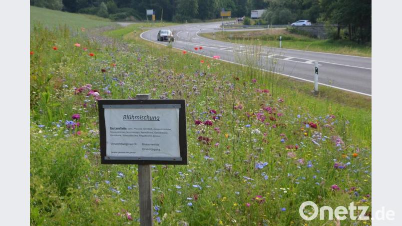 Ein Blühstreifen am Straßenrand bei Erbendorf. Bild: Benkhardt