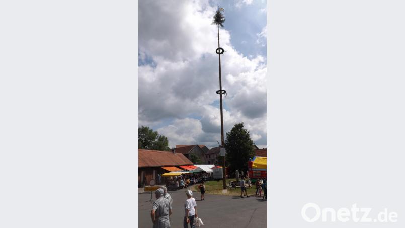 Unterm &quot;Kannesbaum&quot; eine lange Ilsenbacher Tradition, haben sich die Gäste versammelt und genießen die Spezialitäten aus dem Backofen. Bild: trj
