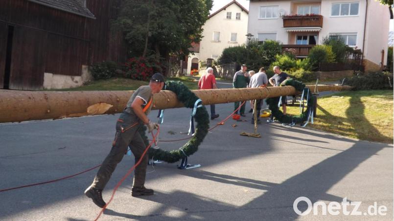 Erfahrene Männer sind gefragt. Jeder Handgriff muss sitzen. Kraft und Intelligenz, genauso wie alte Kniffe und Tricks kommen beim aufstellend es &quot;Kannesbaums&quot; in Ilsenbach zum Einsatz. Das Wissen wird von Generation zu Generation weitergeleitet. Bild: trj