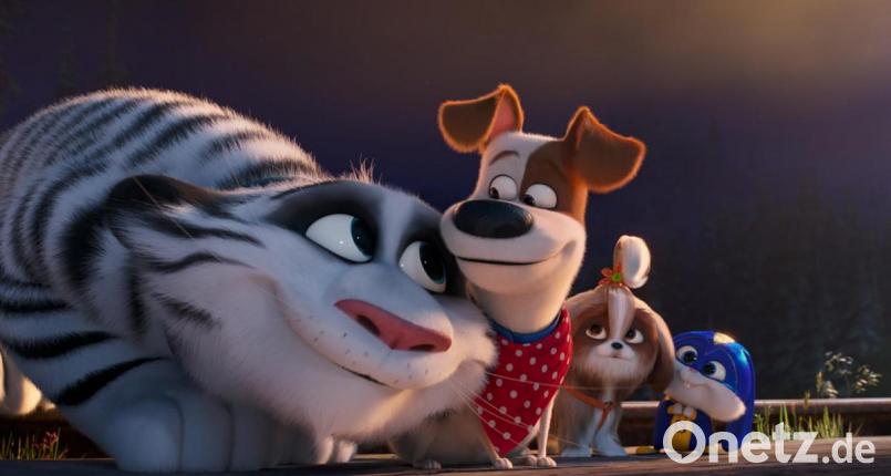 Mit "Pets 2" kommt die Forstsetzung des erfolgreichen ersten Teils rund um die Katzen, Hunde und anderen Tiere ins Kino. Bild: Illumination Entertainment and U/Universal Pictures/dpa