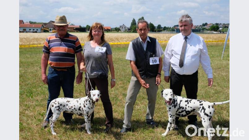 Nach einem ganztägigen Prüf-Marathon erwiesen sich bei den Rüden "Earl Emmerson vom Gramzower Kloster" mit Eigentümer Harald Böttcher (2.v.re.) und bei den Hündinnen "Chimaira von der Juraquelle" mit Züchterin Karola Kistler (2.v.li.) als Sieger des Tages. Es gratulierten Orga-Leiter Josef Kaufmann (li) und Richter Jürgen Rotsch (re) Bild: do