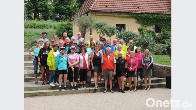 Das Ziel ist bald erreicht: Die idyllisch gelegene Weinterrasse des Sächsischen Weinbaumuseums Hoflößnitz bildet den letzten Stopp der VHS-Radgruppe bei ihrer Tour auf dem Elberadweg. Ein Stück weite, im Erlebnisweingut Wackerbarth, werden die Räder für die Heimreise verladen. Bild: mül