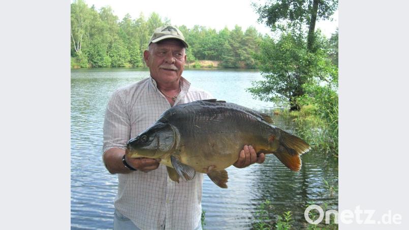 Walter Rimkus zieht den schwersten Fisch an Land. Sein Karpfen wiegt 7580 Gramm. Bild: rgr