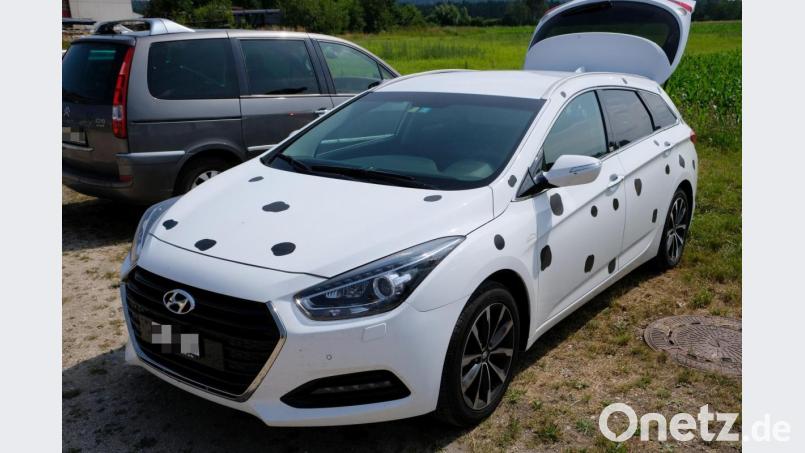 So wie Hund und Herr, so Gscherr. In Weiß mit schwarzen Tupfern muss auch das Auto eines Dalmatiner-Freundes aus der Schweiz sein. Bild: do