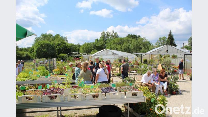 Viele Gäste kamen am vergangenen Wochenende zum Kräuterfest. Bild: soj