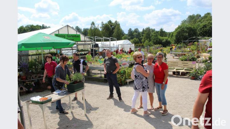 Viele Gäste kamen am vergangenen Wochenende zum Kräuterfest. Bild: soj