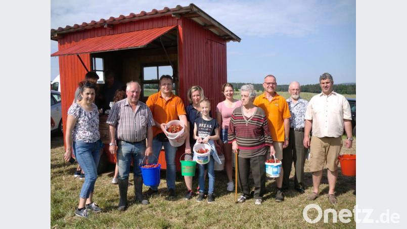 Die fleißigen Pflücker der Freien Wähler und des Hauses Evergreen auf dem Erdbeerfeld in Damelsdorf. Sie zupften insgesamt circa 25 Kilo Erdbeeren. Bild: sh