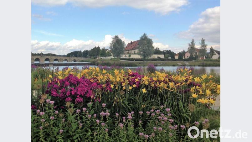 Wasser, Weite, Nektar: Der Fischhof in Tirschenreuths Herz ist eine erholsame Oase und Beispiel gelungener Stadtplanung mit viel Grün. Und allen anderen Farben der Natur. Archivbild: mvs