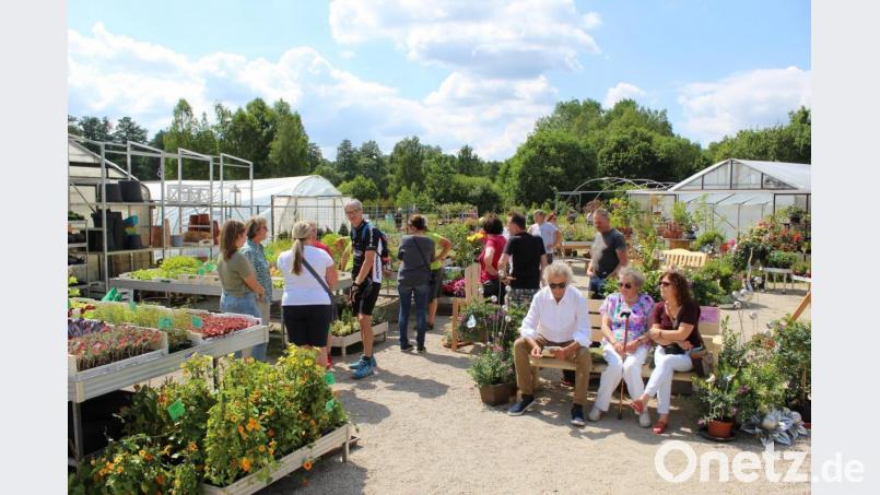 Viele Gäste kamen am vergangenen Wochenende zum Kräuterfest. Bild: soj