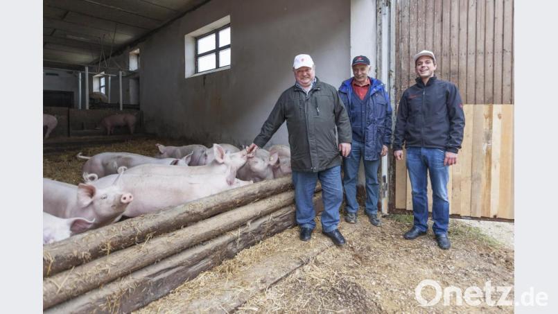 Johannes Lotter (rechts) und sein Vater, Seniorchef Hans Lotter (links), bei einem ihrer Schweinelieferanten, Karl Schmidt aus Mörswinkl Bild: exb
