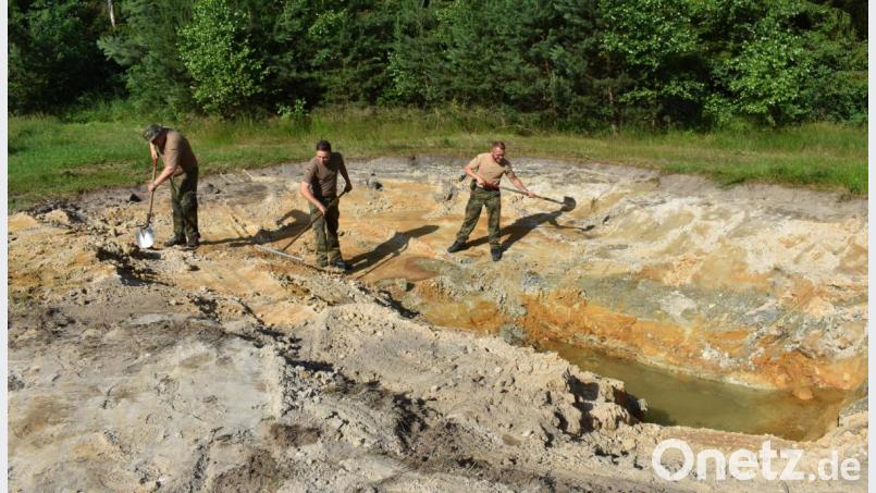 In der Nähe der Weidenkathedrale wird ein Tümpel angelegt. Bild: rgr