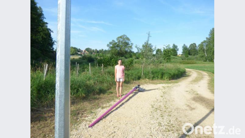 Tereza Fišerová schuf eine Installation bestehend aus zwei vorgefertigten Lichtmasten. Trockene, vom Borkenkäfer befallene Bäume im Wald, die mit magenta-farbigen Insektiziden behandelt wurden, inspirierten sie zum liegenden Metallmasten. Bild: Stefan Voit