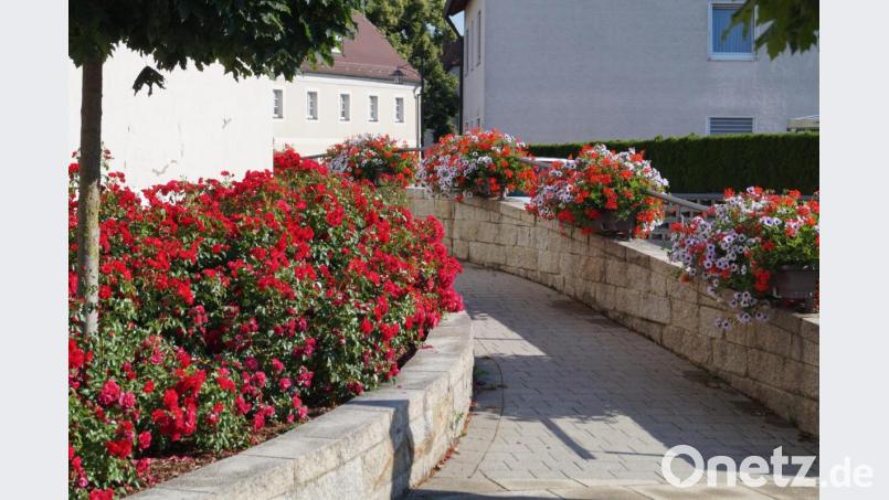 Blumenbeete entlang der Hauptstraße sorgen in Schirmitz für ein viel bewundertes und schmuckes Ortsbild. Bild: du