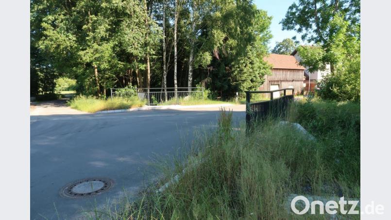 Nicht den Geschmack aller Bürger trifft das rechte Brückengeländer auf der neuen Brücke über den Steinwaldbach. Im Rahmen der Gewährleistung erfolgt eine kostenfreie Nachbesserung. Bild: bsc