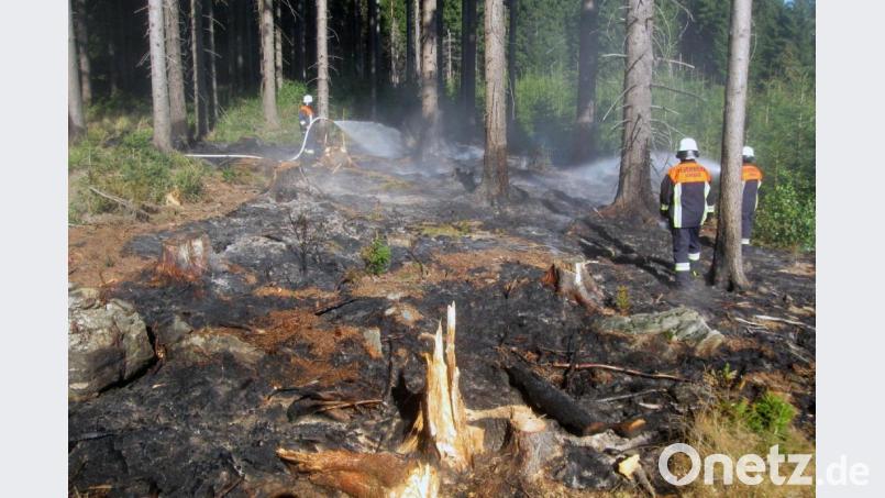 Eine achtlos weggeworfene Zigarettenkippe oder ein Glas kann zu einem großen Waldbrand führen. Die Feuerwehr mahnt deshalb zur Vorsicht. Bild: exb