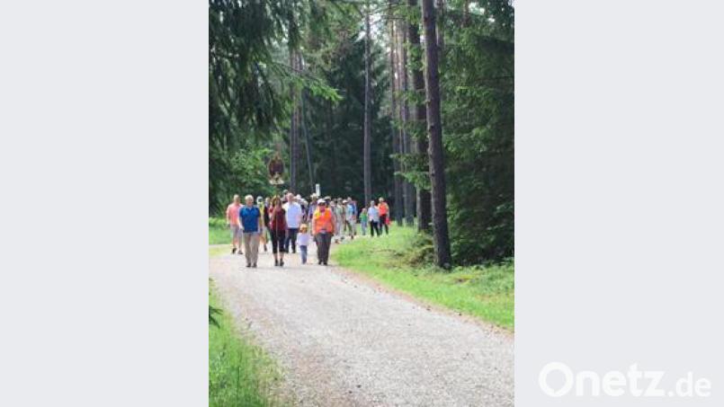 Ganz vorne gehen die jüngste Wallfahrerin und der Wallfahrer, der zum 31. Mal dabei ist. Bild: wbe