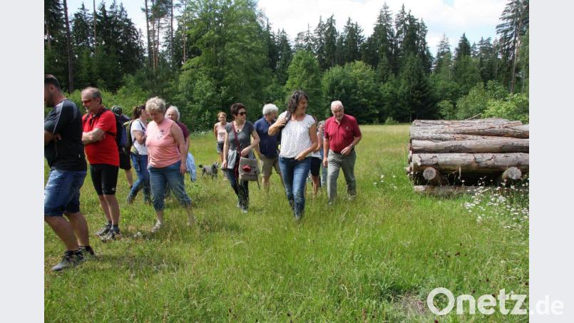 Einige Meter sind bereits geschafft. Die Kräuterkundige war aber längst noch nicht am Ende ihres Ausfluges, hinein in die Natur, angelangt, bei dem sich auch Steinwaldia-Vorsitzender Norbert Reger (rechts) angeschlossen hatte. Bild: wro