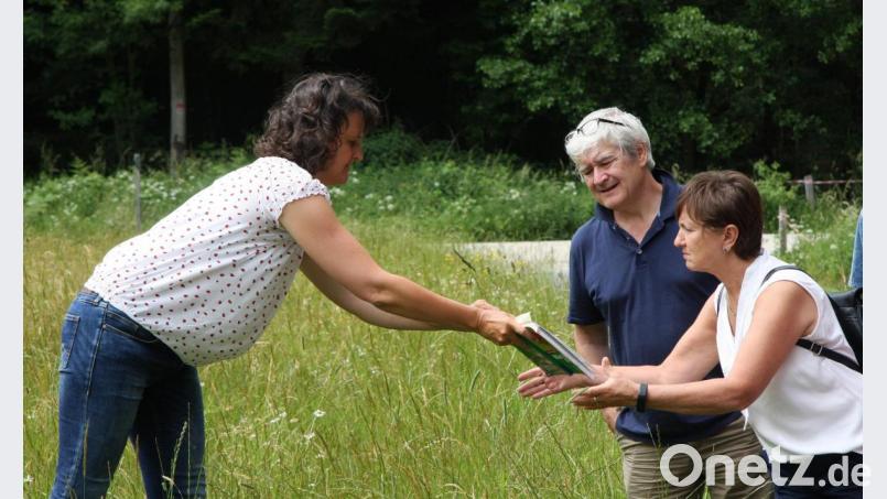 Ab und zu braucht auch eine fachkundige Kennerin ein Buch, in dem man nachschauen kann, um welches Kraut es sich handelt, das man soeben entdeckt hat. Bild: wro