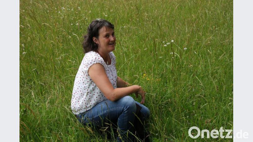 Stehen bleiben, sich hinhocken und erklären: Für eine Kräuterwanderung mit Regina Herrmann braucht man Zeit. Bild: wro